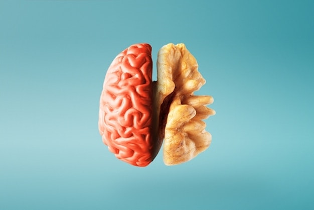How Diet Impacts Your Mental Health how-diet-impacts-your-mental-health