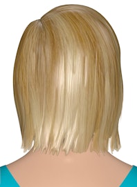 Integumentary System of the Head and Neck (Posterior View)