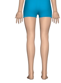 Integumentary System of the Leg and Foot (Posterior View)