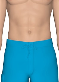 Integumentary System of the Lower Torso (Male View)