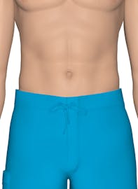 Integumentary System of the Lower Torso (Male View)
