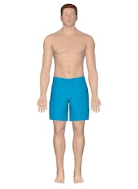 Integumentary System (Male View)