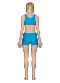 Integumentary System (Posterior View)