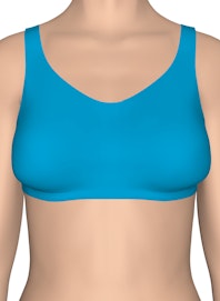 Integumentary System of the Upper Torso