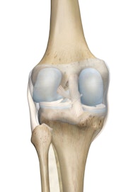Posterior Meniscofemoral Ligament