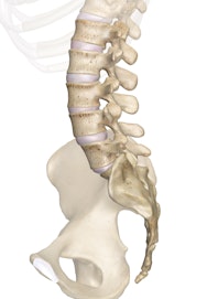 The Lumbar Vertebrae