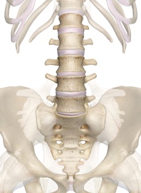 Lumbar Vertebrae (Anterior View)