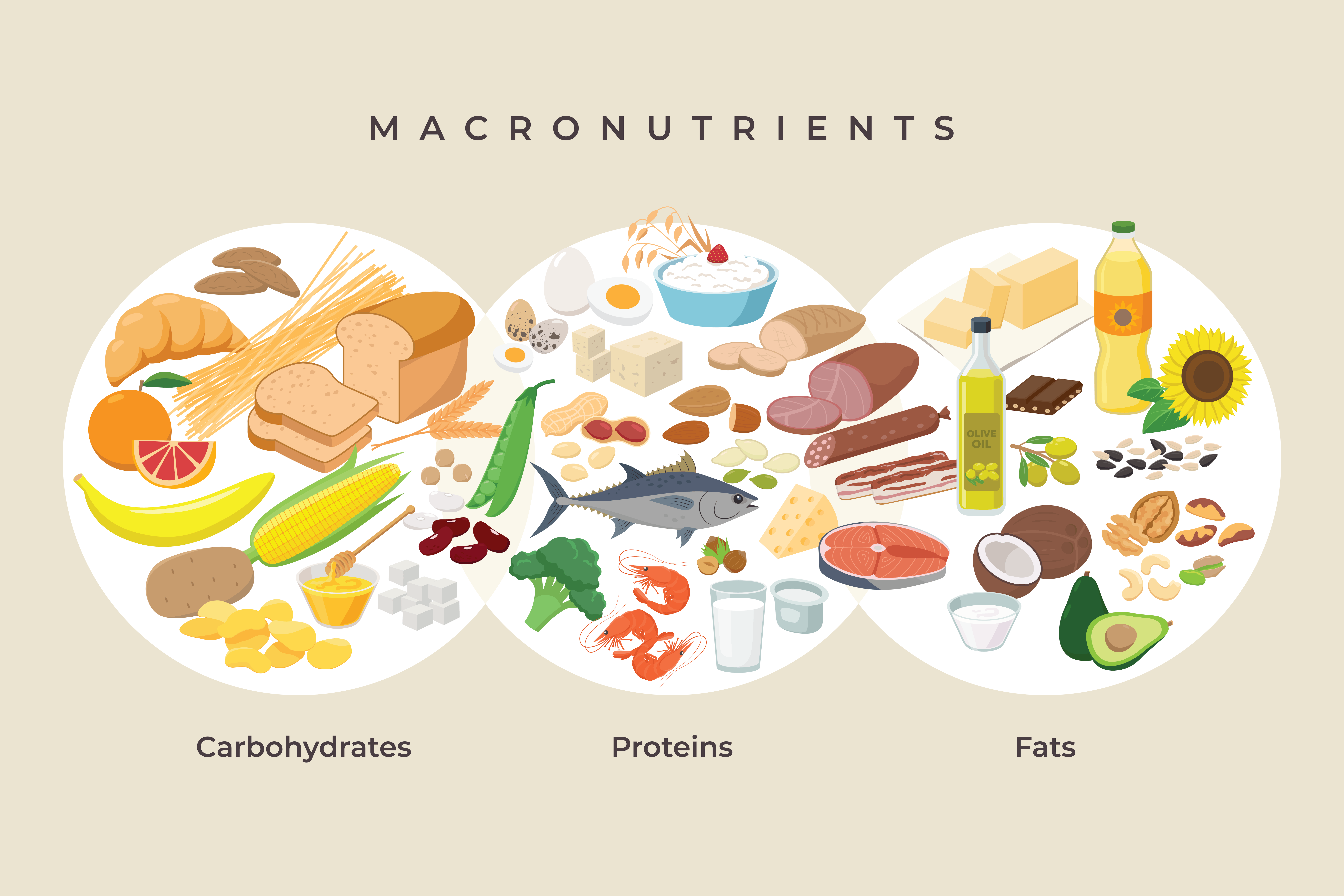 Macronutrients for health