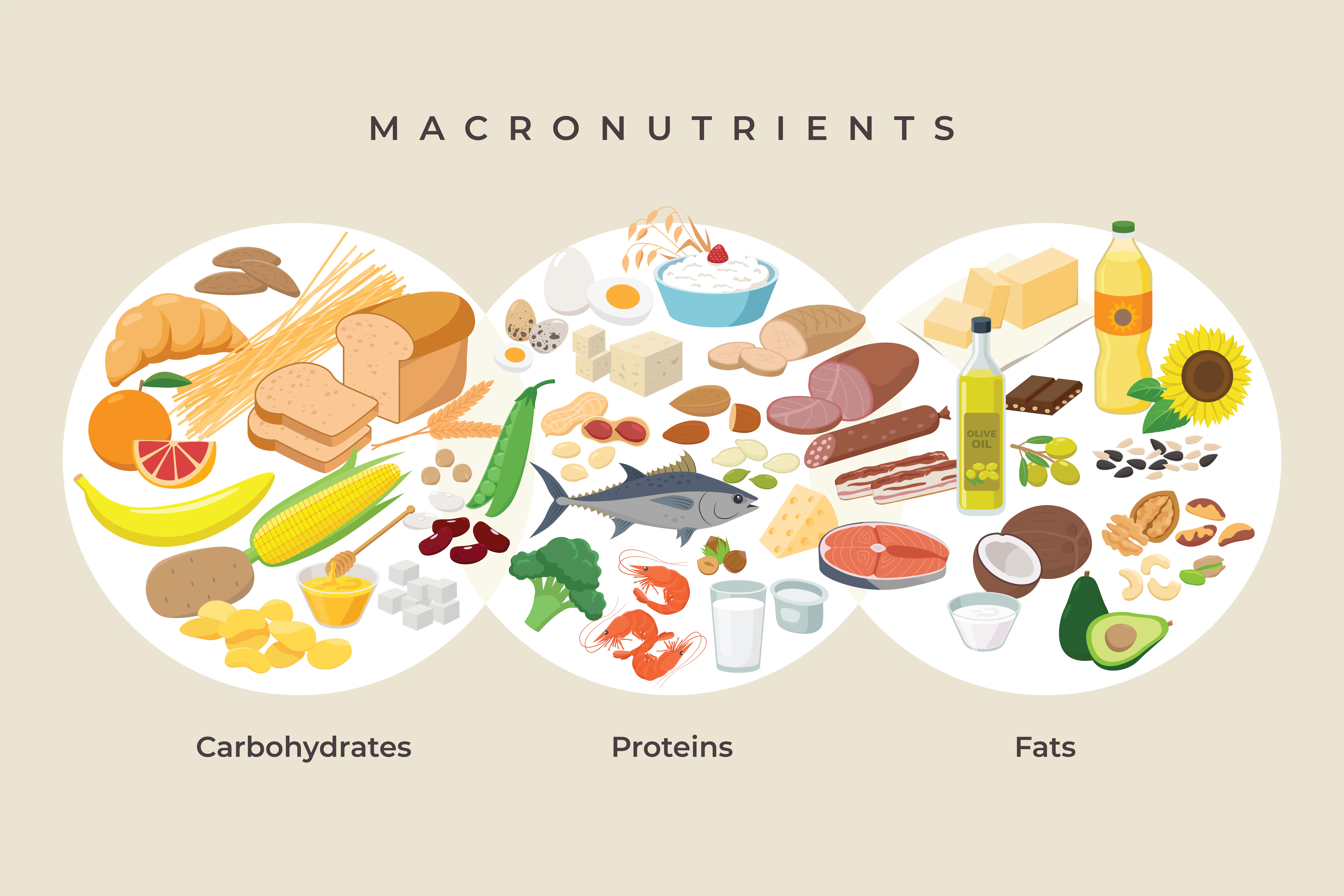 Macronutrients