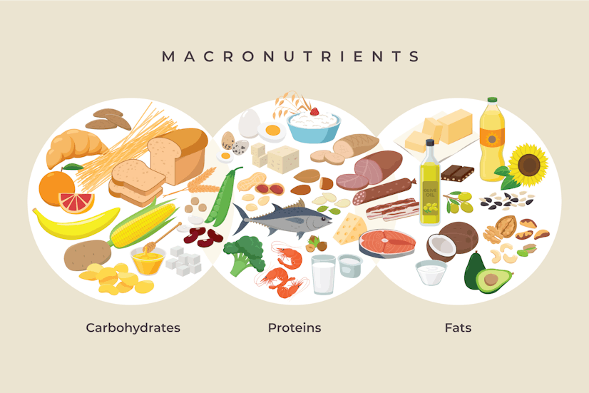 Macronutrients