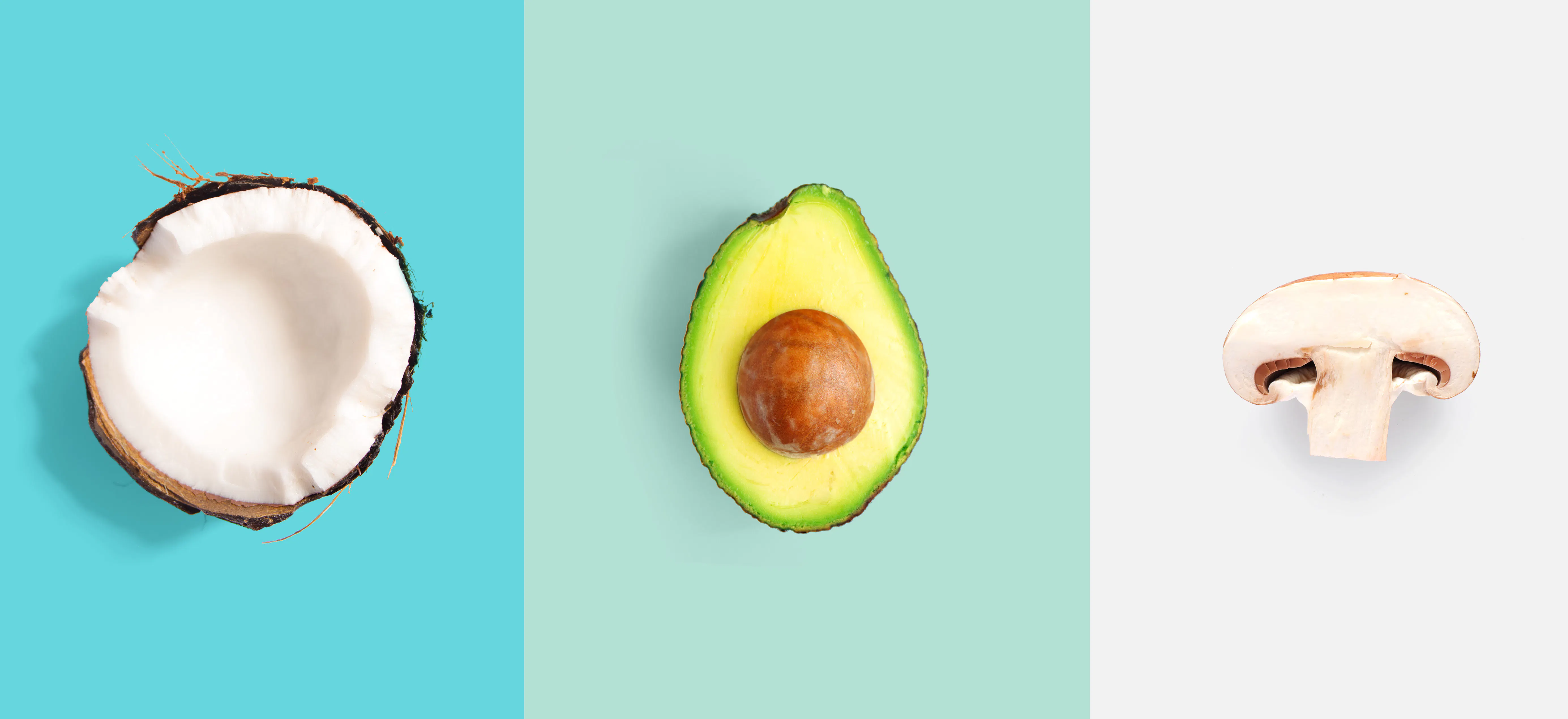 Micronutrients