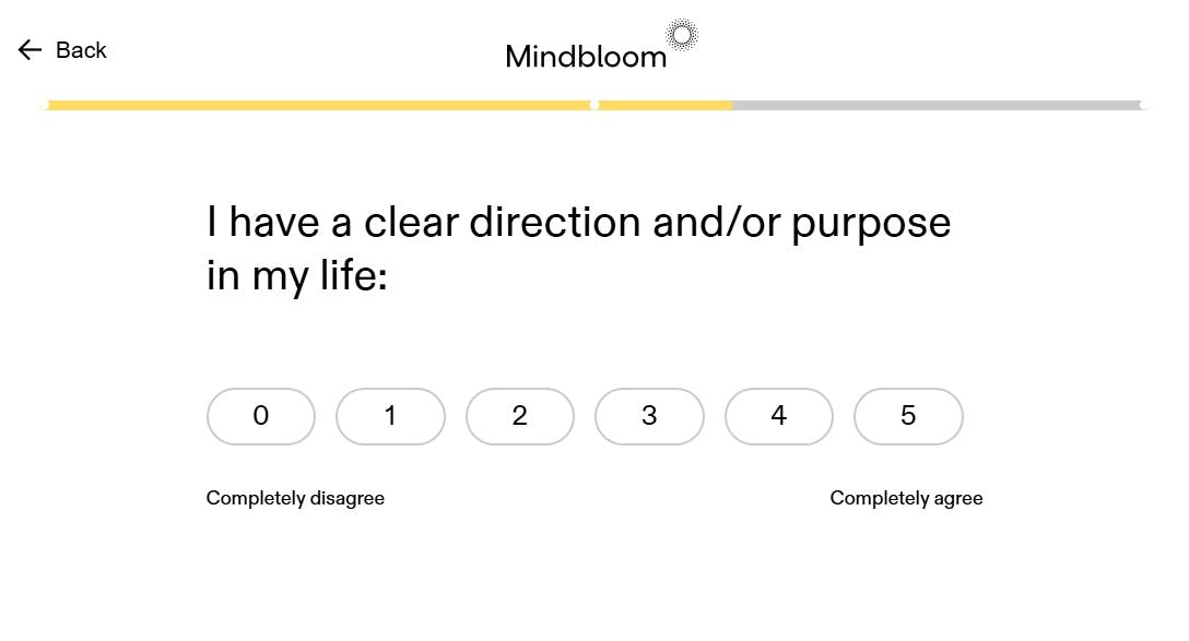 Mindbloom Informal Assessment