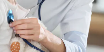 Naturopathic Doctor | How to Become an ND