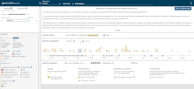 Nebula Genomics Review Gene Analysis