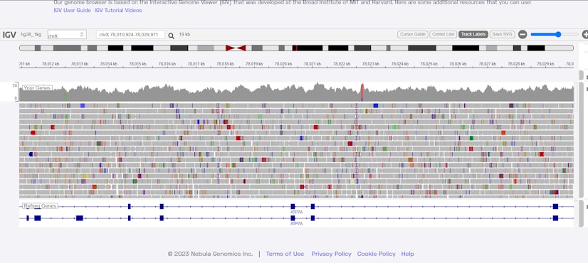 Nebula Genomics Review Gene Browser