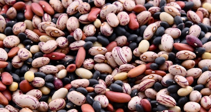 Nutritional Value of Beans