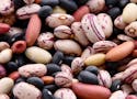 The Nutritional Value of Beans: A Versatile Superfood