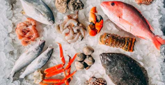 Omega-3 Content in Seafood