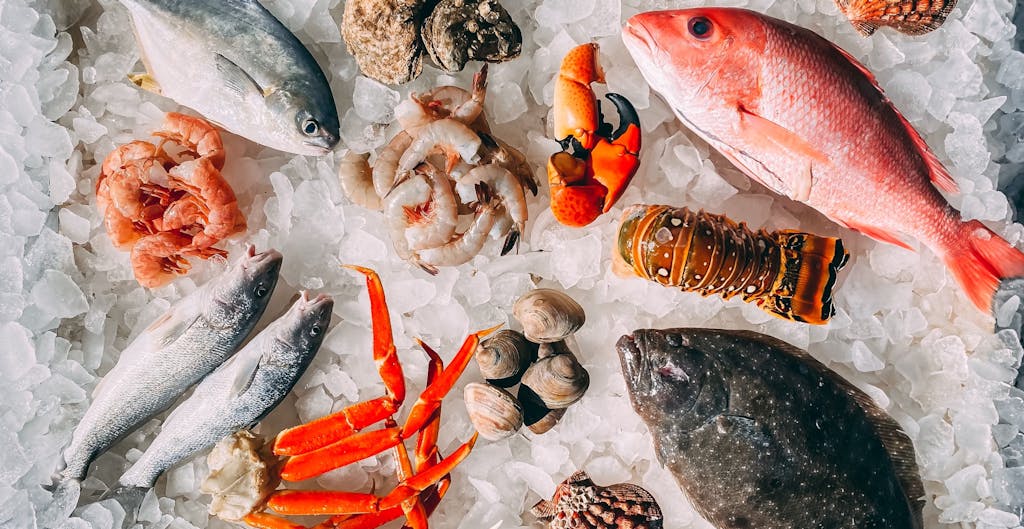 Omega-3 Content in Seafood