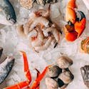 Omega-3 Content in Seafood Products