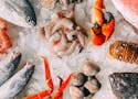 Omega-3 Content in Seafood Products