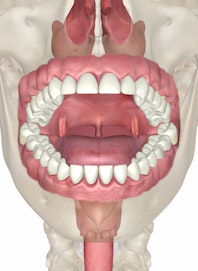 Oral Cavity