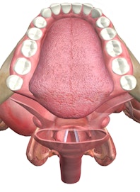 Oral Cavity (Superior View)