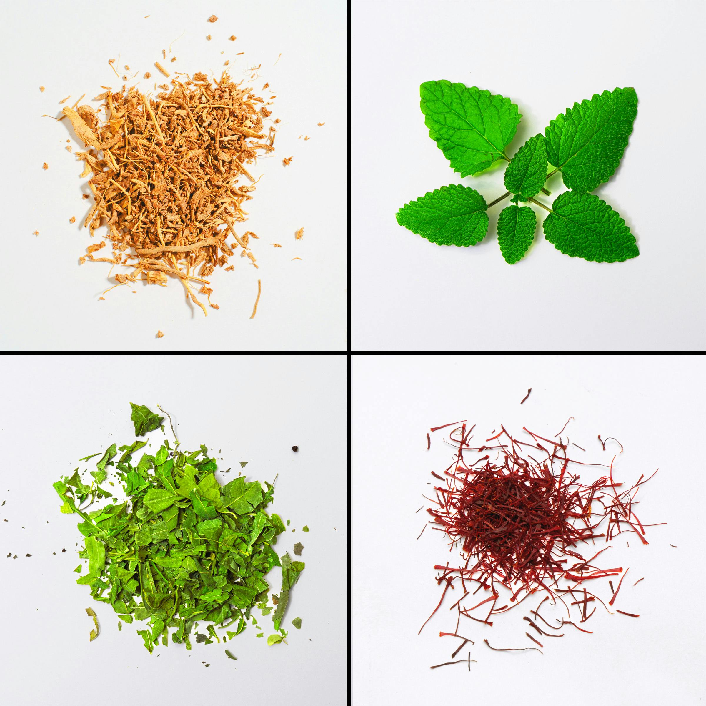 Four common botanical ingredients in OTC sleep aids - ashwagandha, lemon balm, Apocenum venetum, and saffron