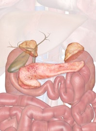 The Pancreas