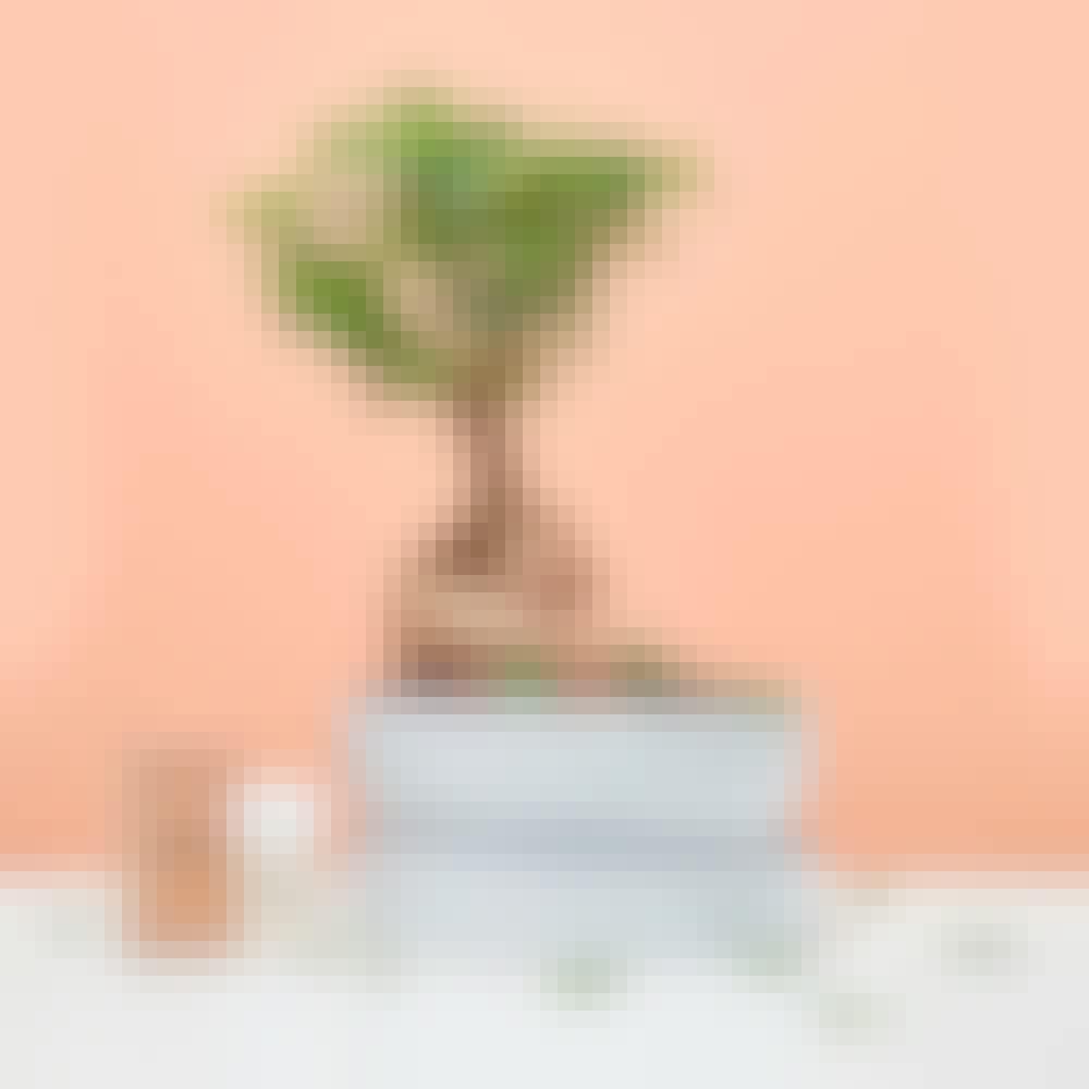 Hims ED评论:Hims的ED产品和服务是否合法?万博下载官方app下载