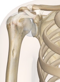 The Shoulder Joint