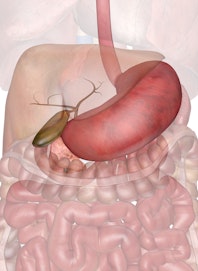 The Stomach, Gallbladder, and Pancreas