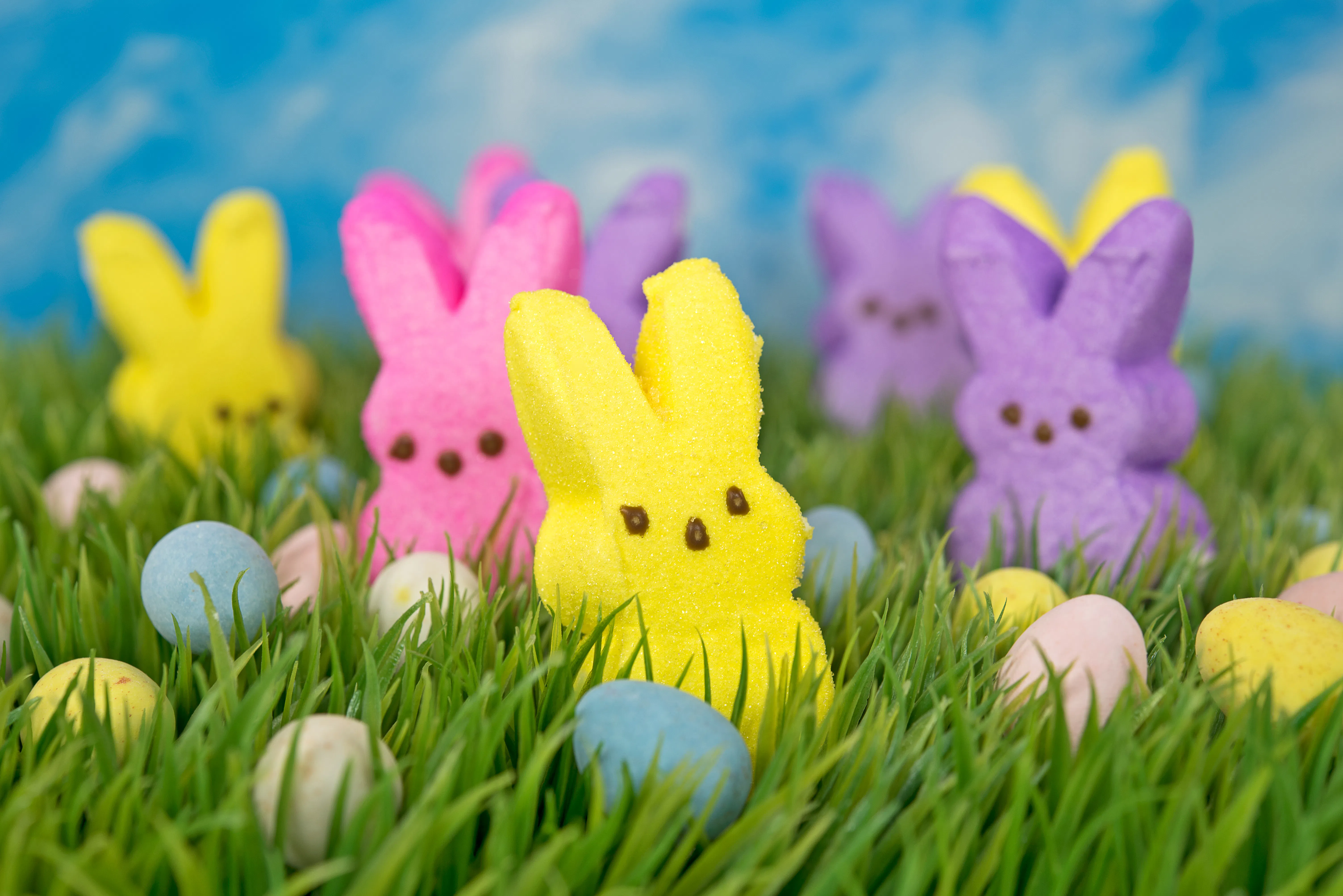 Top Easter Candies by State: What's in America's Easter Baskets?