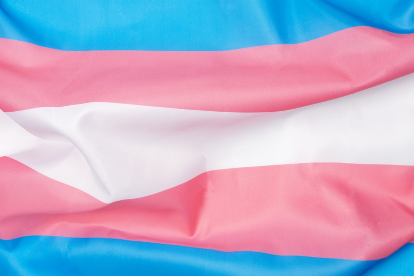 image of transgender flag