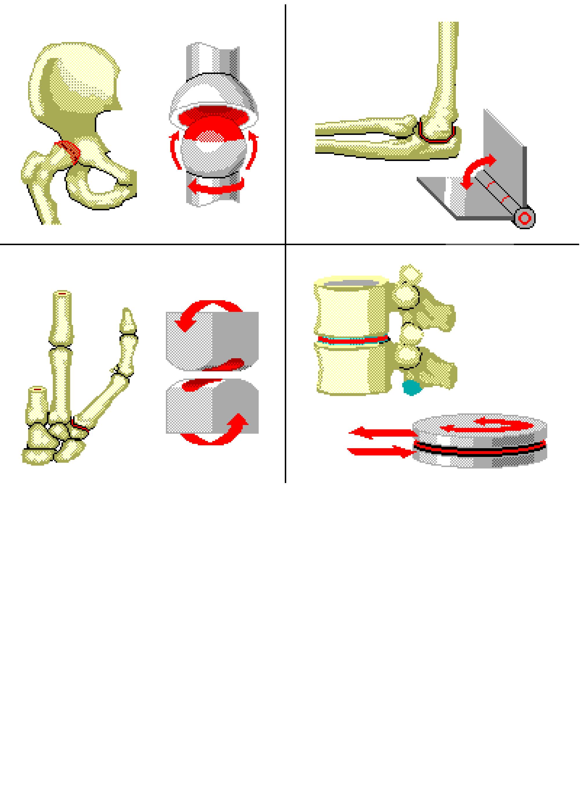 freely movable joints