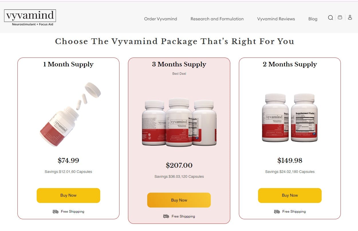 Vyvmind Bundle Pricing