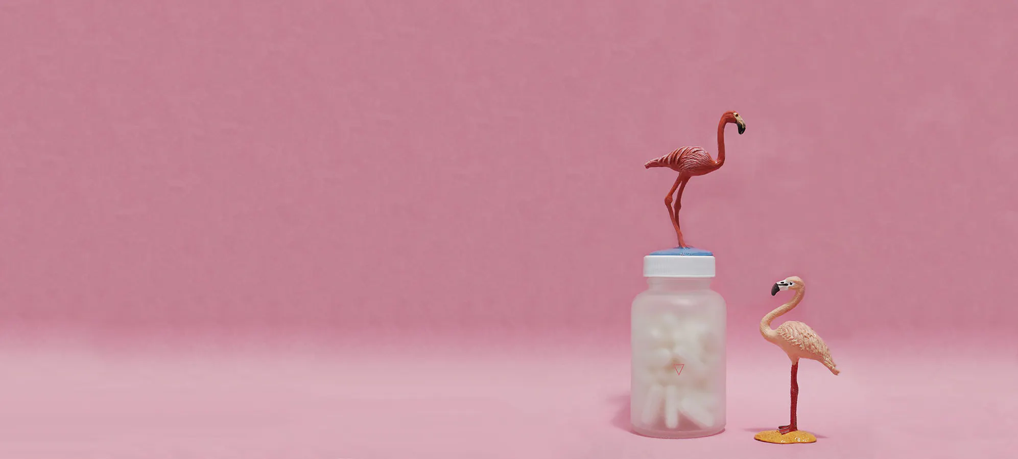 Wisp Review: A Good Option for Online Sexual Healthcare?