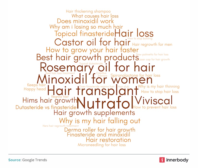 diverse set of search queries used in this study